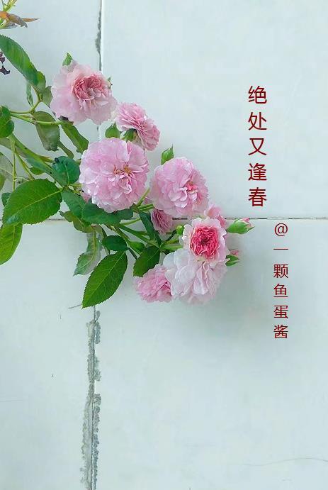 绝处逢生 绝处逢生