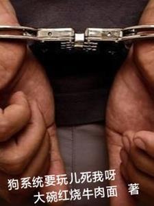 狗系统 狗系统