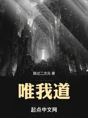 唯我道TXT 唯我道TXT