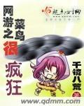 网游之菜鸟很疯狂女主有几个 网游之菜鸟很疯狂女主有几个
