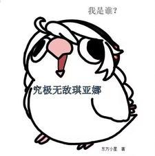 我是谁?究极无敌琪亚娜!东方小星免费阅读_我是谁 我是谁?究极无敌琪亚娜!东方小星免费阅读_我是谁