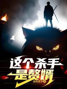这个杀手是赘婿TXT 这个杀手是赘婿TXT