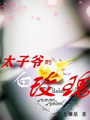 太子爷的白月光