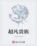 我是慕容复的